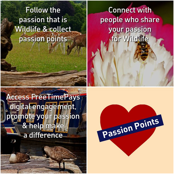 Are you passionate about wildlife? Join Us!